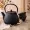 Cast Iron Tea Pot