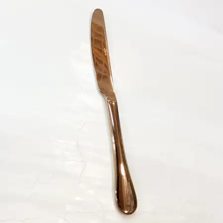 #1010201-K-RG; Stainless steel table kni..