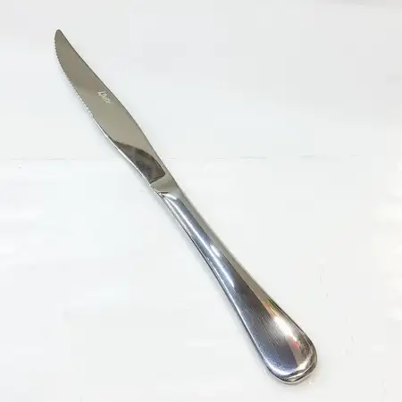 #1010201-SK; Stainless steel Steak knife..