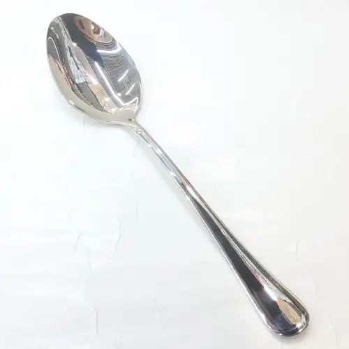 #1010201-SS13; Stainless steel serving spoon 22cm 