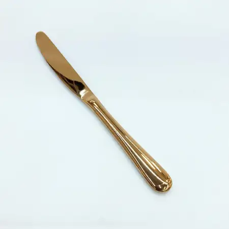 #1084-25RG; Stainless steel table knife ..