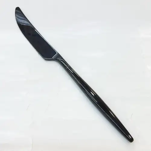 #1171304-25-BK; Stainless steel table knife #BK 