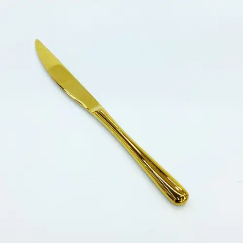 #1186-25G; Stainless steel table knife #G