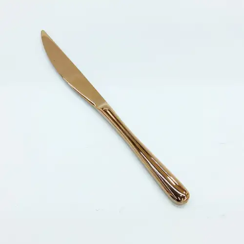 #1186-25RG; Stainless steel table knife #RG