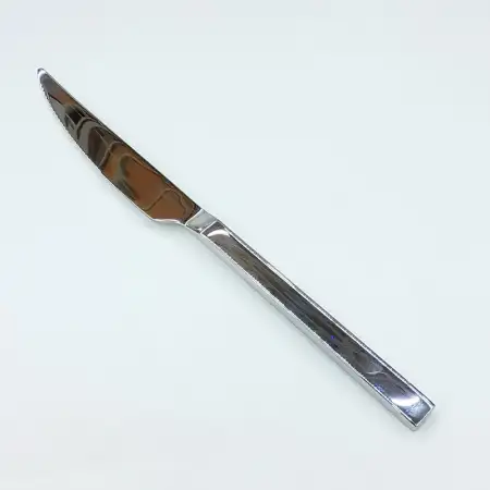 #1194-26; Stainless steel steak knife..