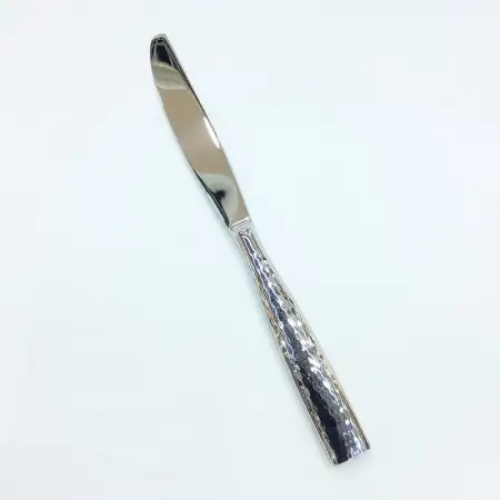 #1206-25; Stainless steel table knife..