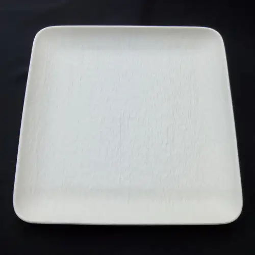 #BS5187-WT; Ceramic 30.5cm square plate