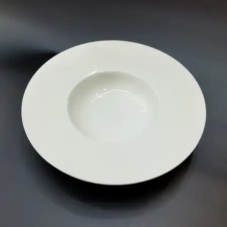 #CT7999; Ceramic pasta and soup plate 23..