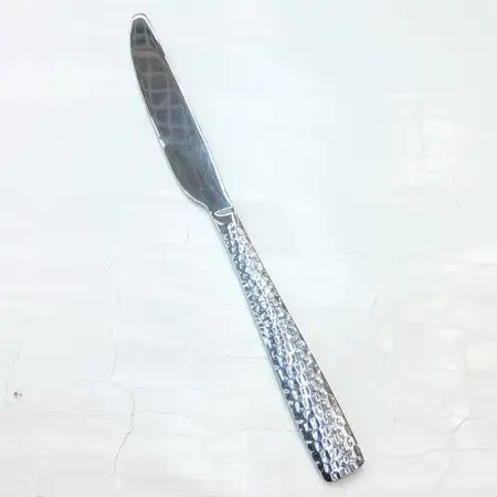 #LY001-25; Stainless steel table knife..