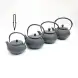 #SQ3468; Cast iron tea pot 0.3L